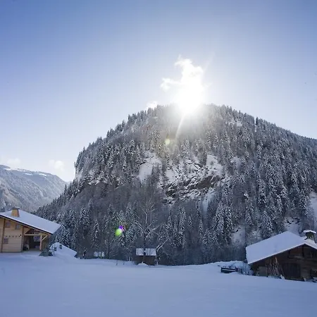 Apartment Chalet